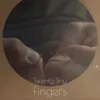 Twenty Tiny Fingers