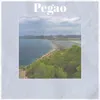 About Pegao Song