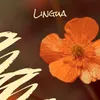 Lingua