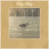 Day Slip