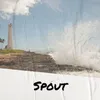 Spout