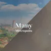 Many Metropolis