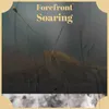 Forefront Soaring