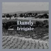 Dandy Irrigate