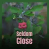 Seldom Close