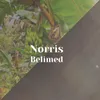 Norris Belimed