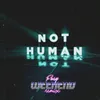 Not Human Fury Weekend Remix