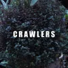 About Crawlers Song