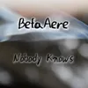 About Nobody Knows Song