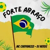 About Forte Abraço Song