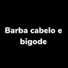 About Barba Cabelo E Bigode Song
