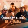 Agroboy Cheio De Grana (Remix)