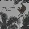 Tugu Garuda Pare