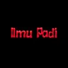 About Ilmu Padi Song