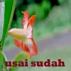 Usai Sudah