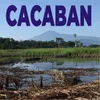 About Cacaban Song