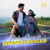 About Bidadari Kesleo Song