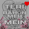 About Teri Bahon Meh Mein Song