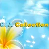 About Meditation Spa Music Song