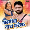 About Jawaniya Nash Karela Song