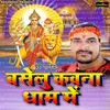 About Baselu Kawana Dham Mein Song