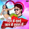 About Dil Ke Dawai Jaan Ke Dupatta Me Song