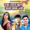 About Ek Lal Phool Jame Maak Nahi Song