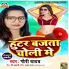 About Hooter Bajata Choli Me Song