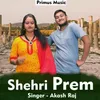 About Shehri Prem Haryanavi Song
