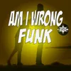 About Am I Wrong Funk Song