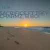 About Sacrifice Song