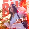 About Ladybug Song
