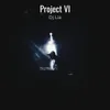 Project VI