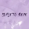 About Sufletul Rece Song