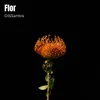 Flor