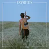 About Expertos Song