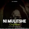 About Ni Mulitshe Song