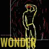 About Wonder Song