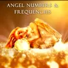 About 1111 Hz Angel Protection Song