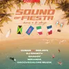About Sound Of Fiesta (Vamos A La Playa) [feat. Shaggy] Song
