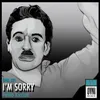 About I'm Sorry Song