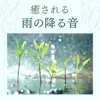 ハープ雨音