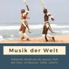 Der ganzen Welt mit Sitar