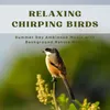 Relaxing Chirping Birds