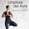 Limpieza del Aura