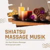 Shiatsu Massage Musik