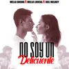 About No Soy Un Delincuente Song
