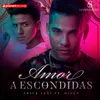 About Amor A Escondidas (with Divan) Song