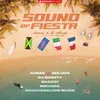 Sound Of Fiesta (Vamos A La Playa) [feat. Shaggy]