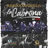 About Arriconamela - La Cabrona En Vivo Song